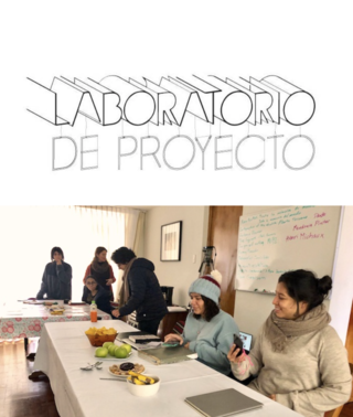 Participación al laboratorio de proyecto
Invitada por la Artista Janine Soenens, Conversación, análisis individual y colectivo de las 5 participantes del laboratorio.